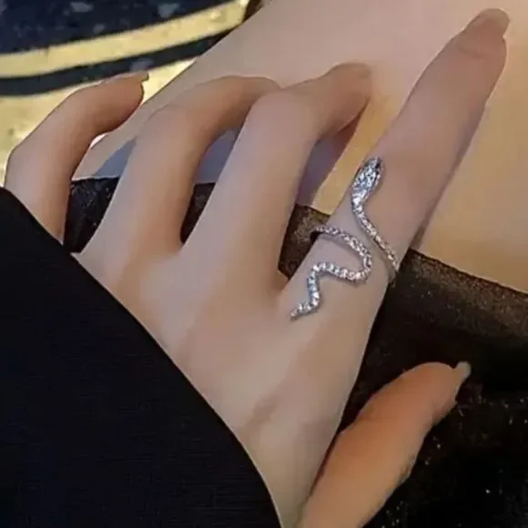Elegant Silver Snake Ring